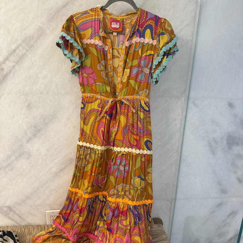 CeliaB Multicolor Floral Button-Down Dress
